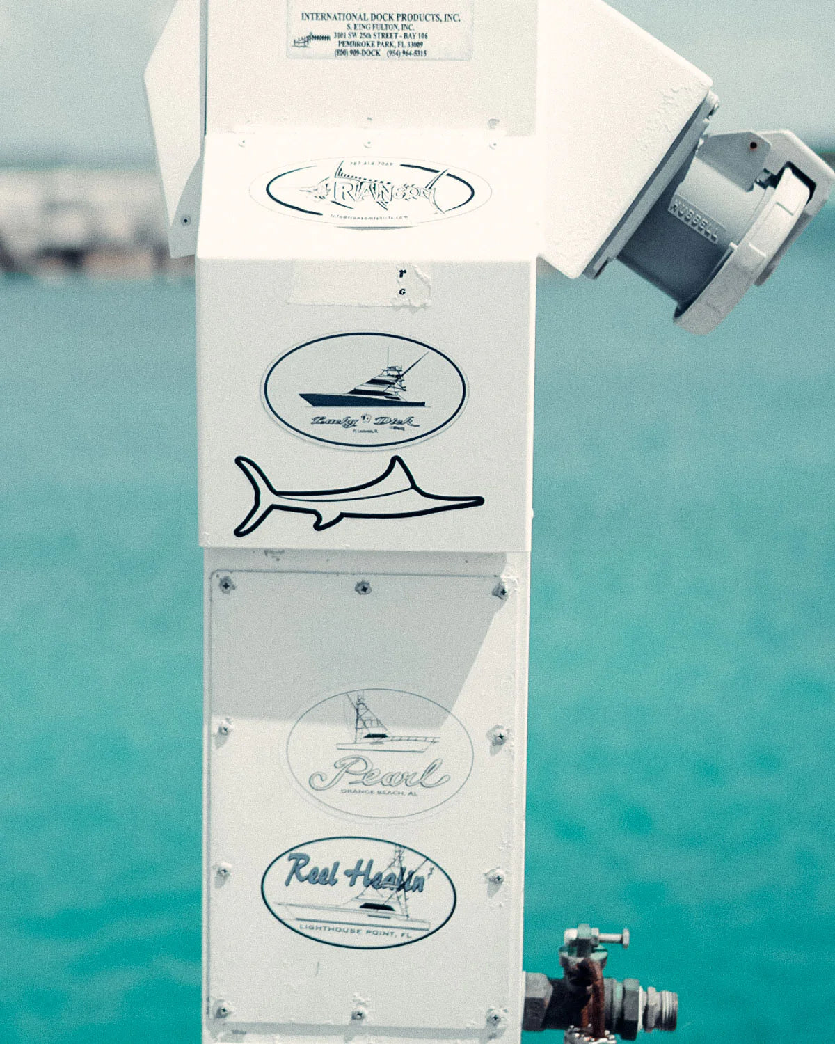 BILLFISH LOGO DECAL