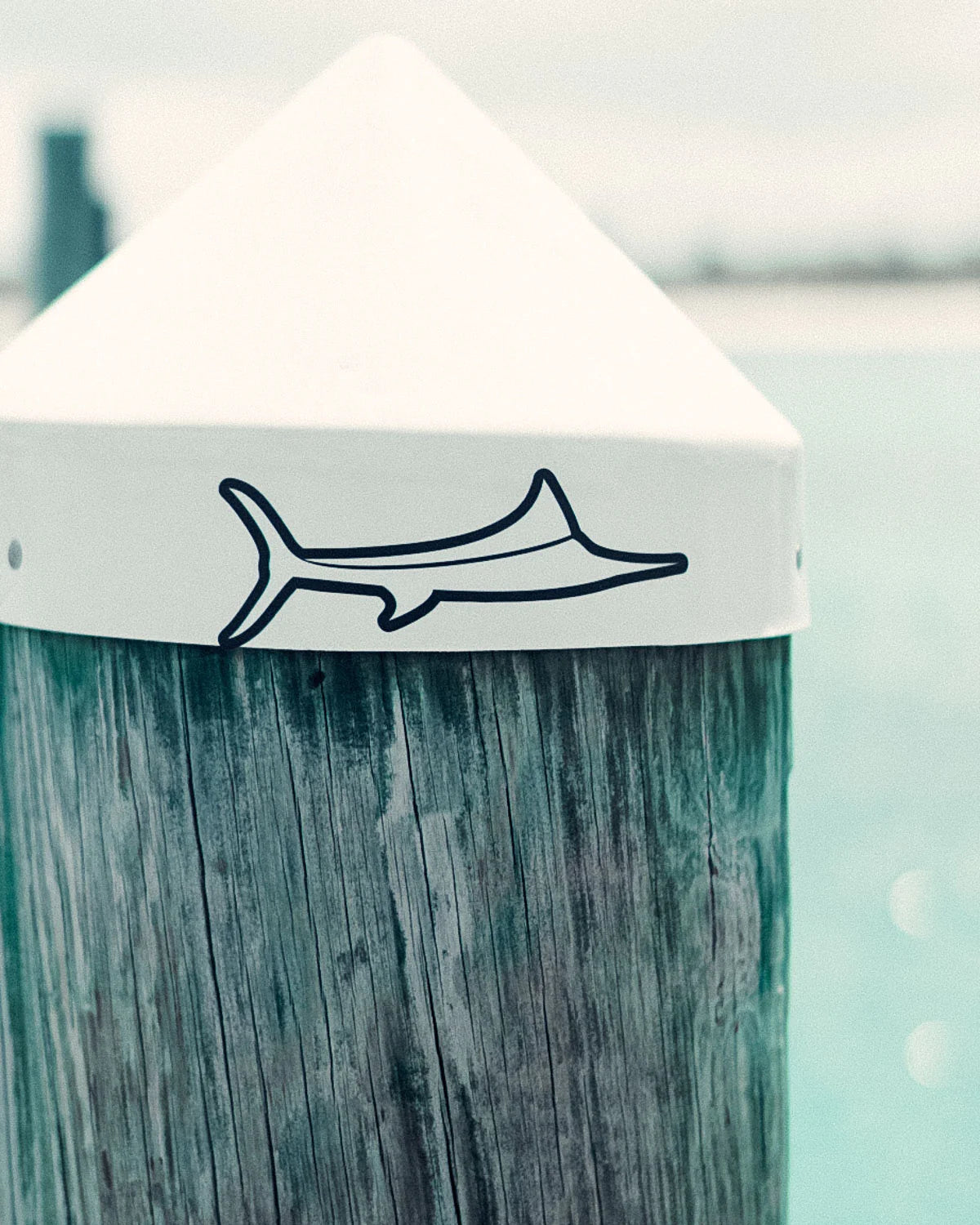 BILLFISH LOGO DECAL