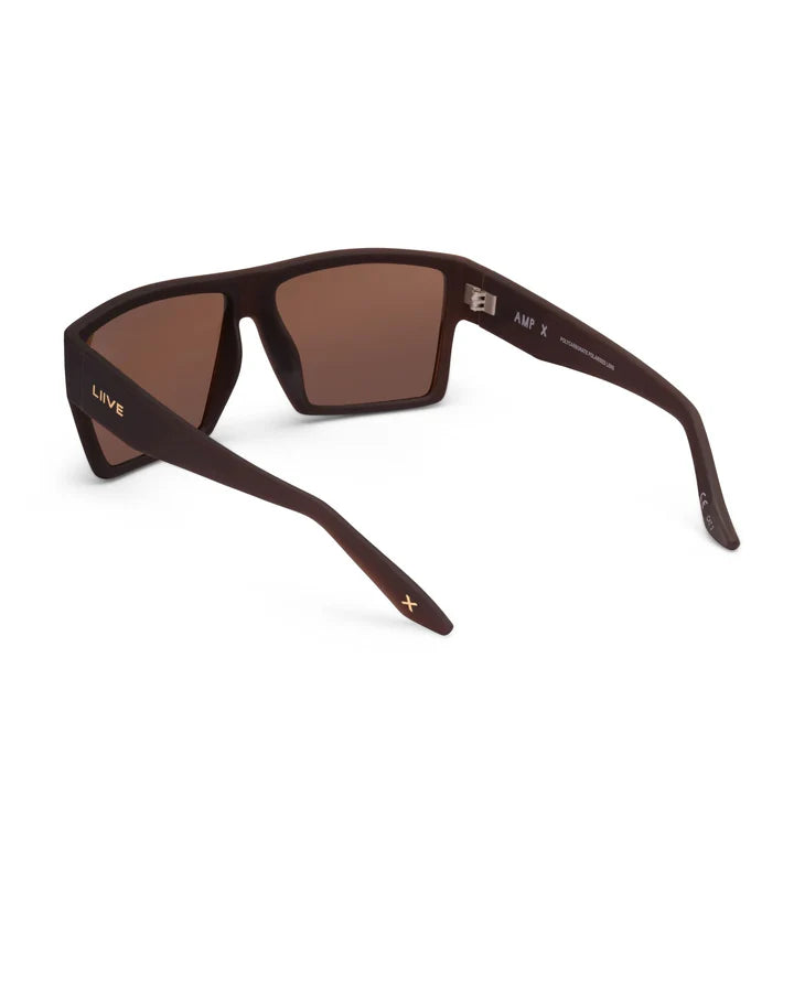 X AMP X - POLARISED BEER BROWN