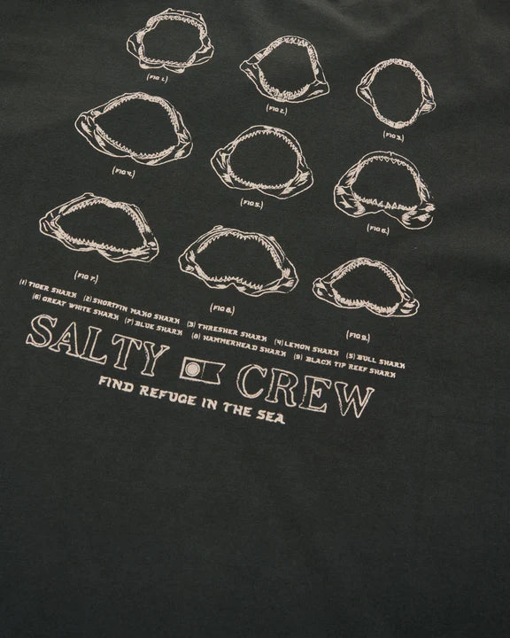 JAWBONE VINTAGE SS TEE