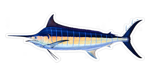 BLUE MARLIN