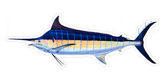 BLUE MARLIN