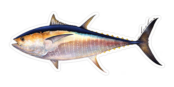 BLUEFIN TUNA