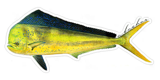 DORADO AKA MAHI-MAHI