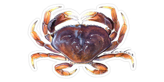 DUNGENESS CRAB