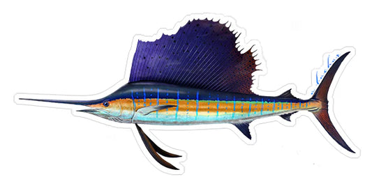 SAILFISH