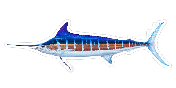 STRIPED MARLIN