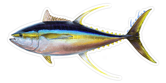 YELLOWFIN TUNA