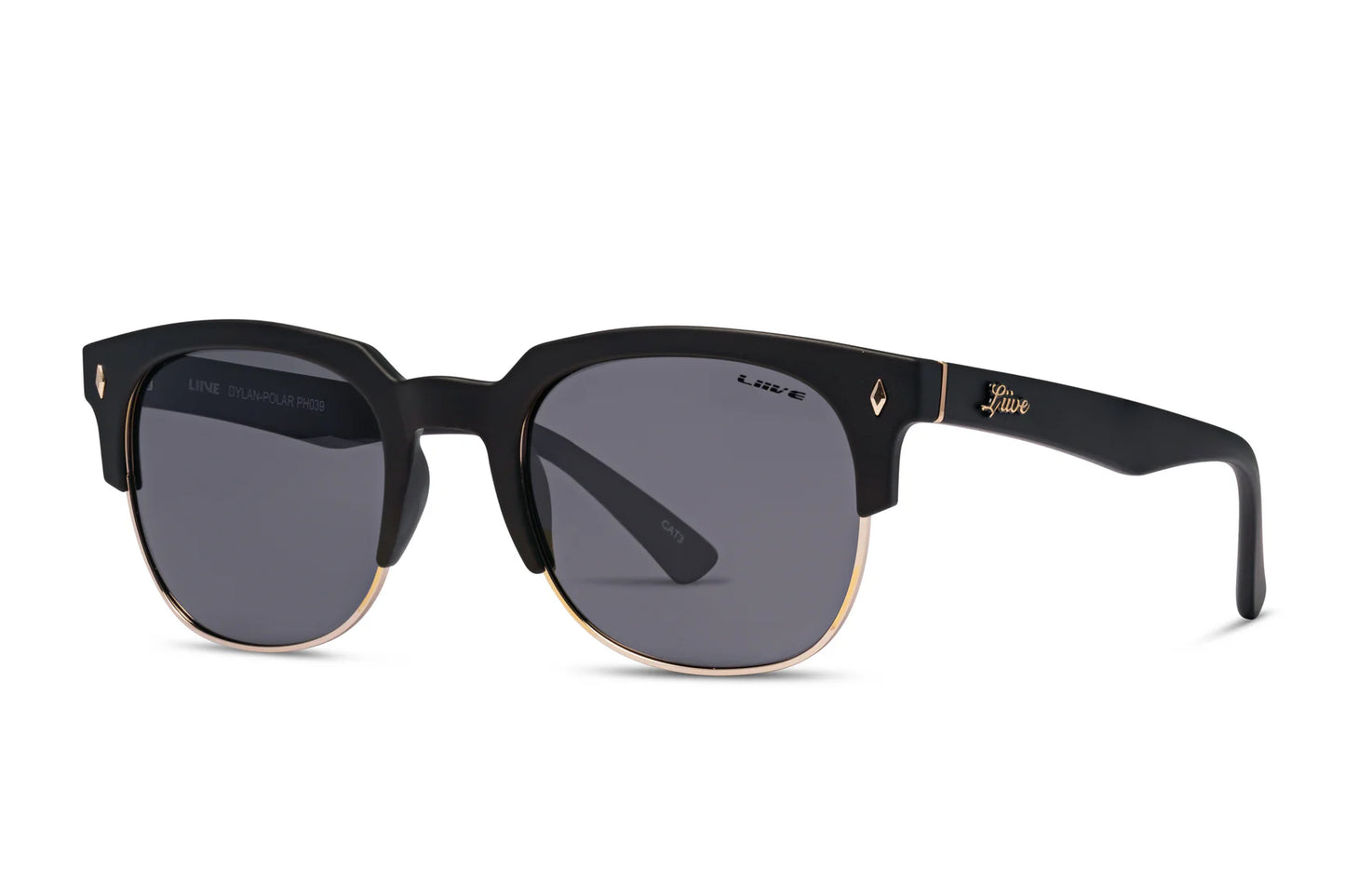 DYLAN - POLARISED MATT BLACK